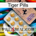 Tiger Pills 41